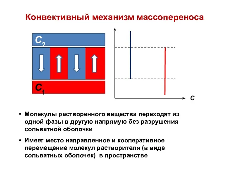 Конвективный механизм массопереноса Молекулы растворенного вещества переходят из одной фазы в