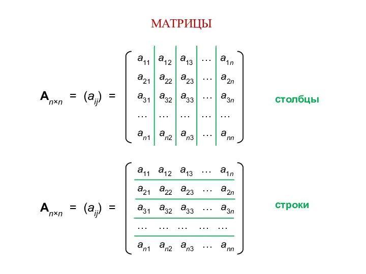 МАТРИЦЫ