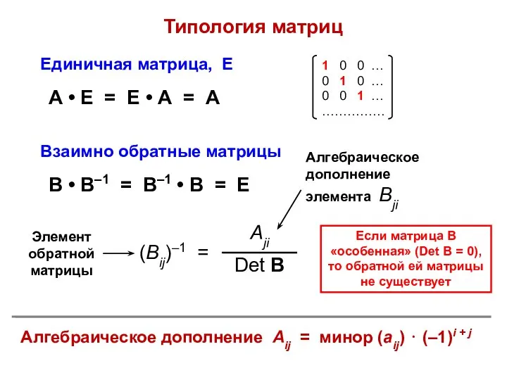 Типология матриц Взаимно обратные матрицы В • В–1 = В–1 •