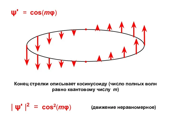 Конец стрелки описывает косинусоиду (число полных волн равно квантовому числу m)