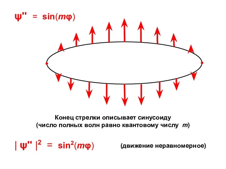 Конец стрелки описывает синусоиду (число полных волн равно квантовому числу m)