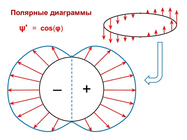 Полярные диаграммы ψ' = cos(φ) + –