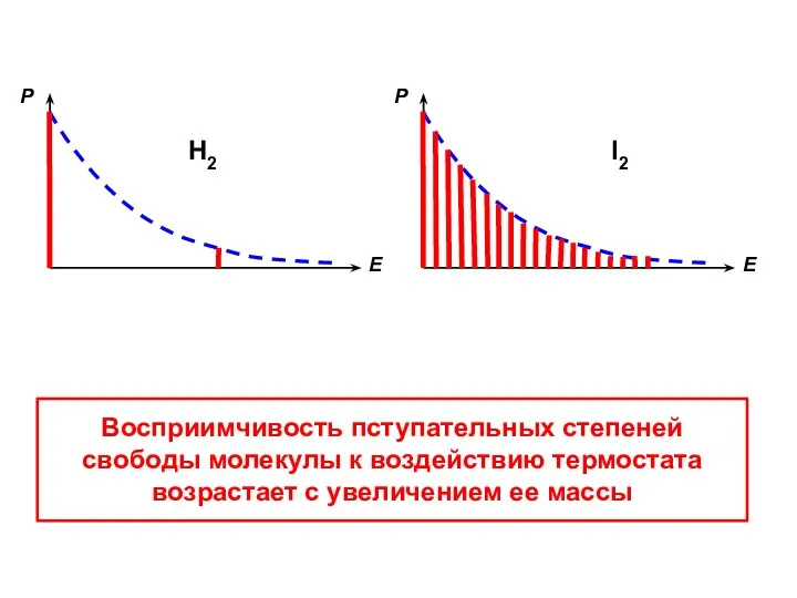 Восприимчивость пступательных степеней свободы молекулы к воздействию термостата возрастает с увеличением ее массы