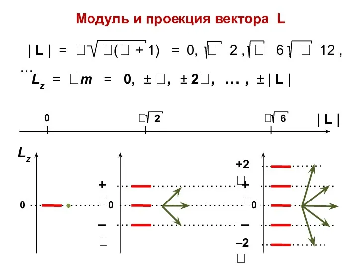 Модуль и проекция вектора L Lz = m = 0, ±