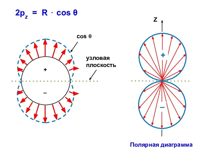 2рz = R ⋅ cos θ Полярная диаграмма Z