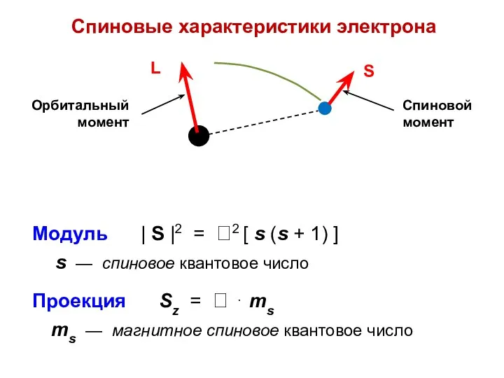 Спиновые характеристики электрона Модуль | S |2 = 2 [ s