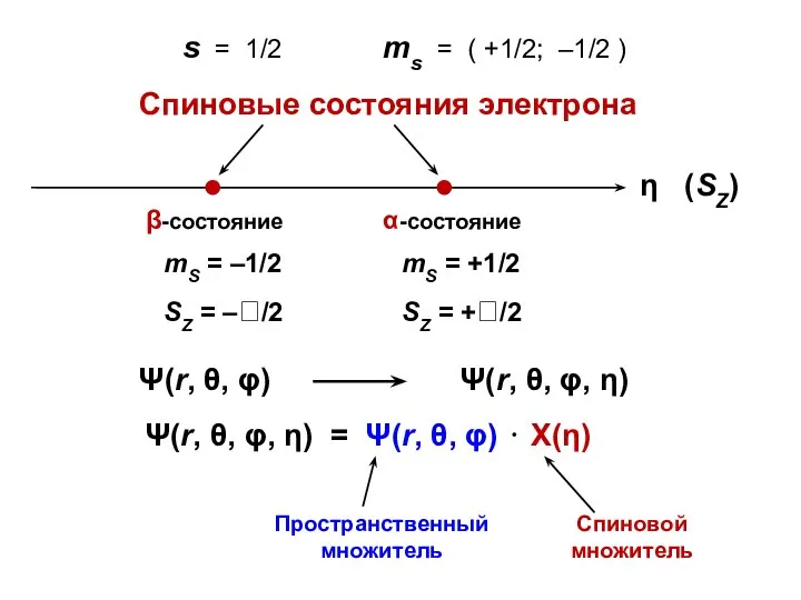 s = 1/2 ms = ( +1/2; –1/2 ) Ψ(r, θ,