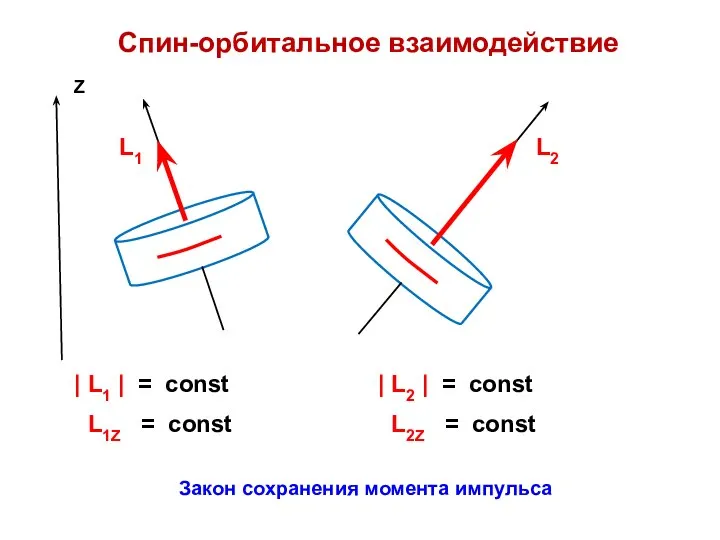 Спин-орбитальное взаимодействие | L1 | = const L1Z = const |