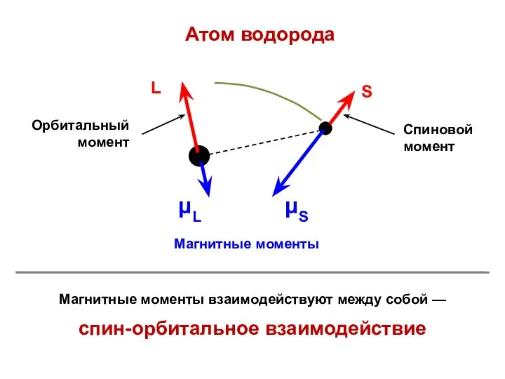 Атом водорода Магнитные моменты взаимодействуют между собой — спин-орбитальное взаимодействие