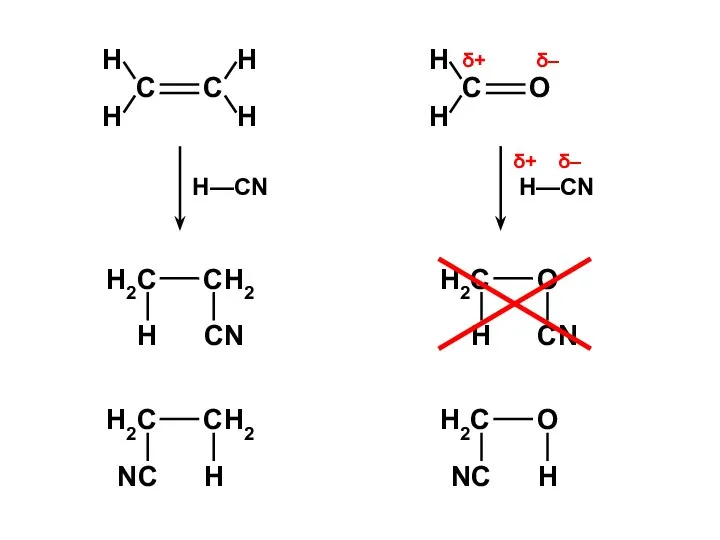 δ+ δ– δ– δ+