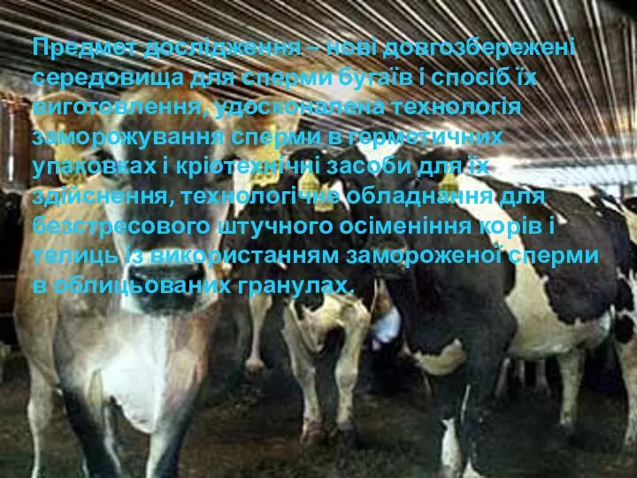 Предмет дослідження – нові довгозбережені середовища для сперми бугаїв і спосіб