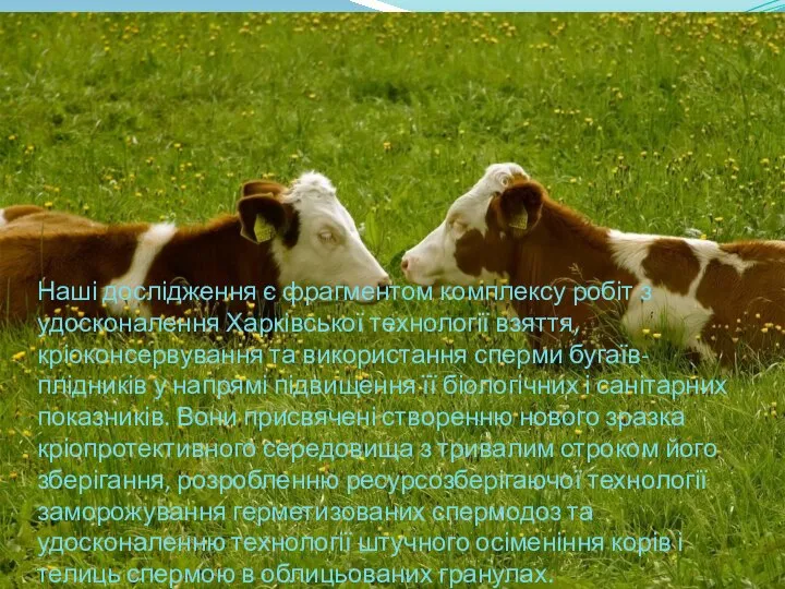 Наші дослідження є фрагментом комплексу робіт з удосконалення Харківської технології взяття,