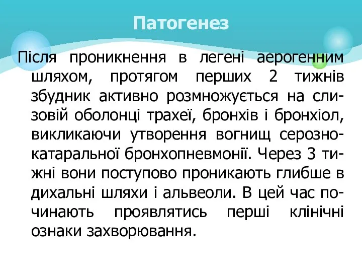 Після проникнення в легені аерогенним шляхом, протягом перших 2 тижнів збудник