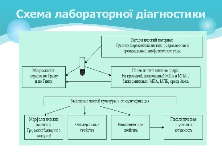 Cхема лабораторної діагностики