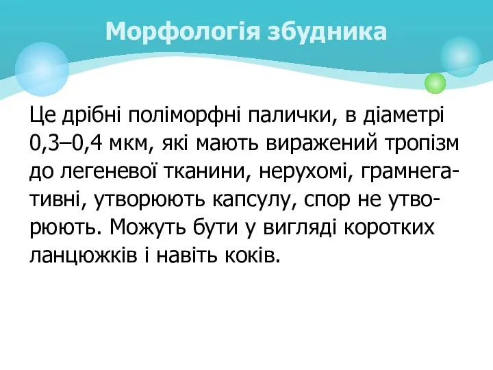 Це дрібні поліморфні палички, в діаметрі 0,3–0,4 мкм, які мають виражений