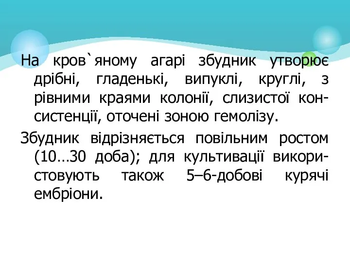 На кров`яному агарі збудник утворює дрібні, гладенькі, випуклі, круглі, з рівними