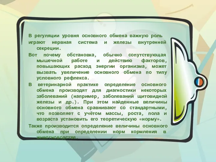 В регуляции уровня основного обмена важную роль играют нервная система и