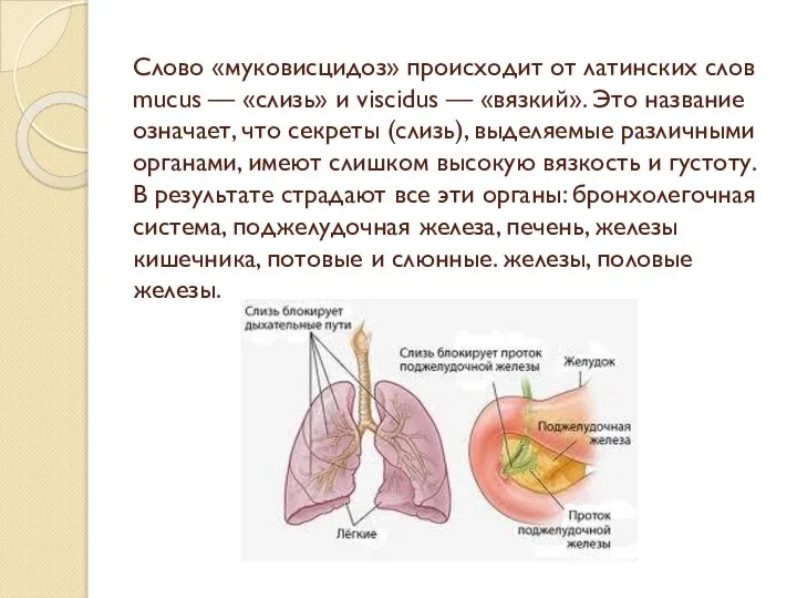 Слово «муковисцидоз» происходит от латинских слов mucus — «слизь» и viscidus