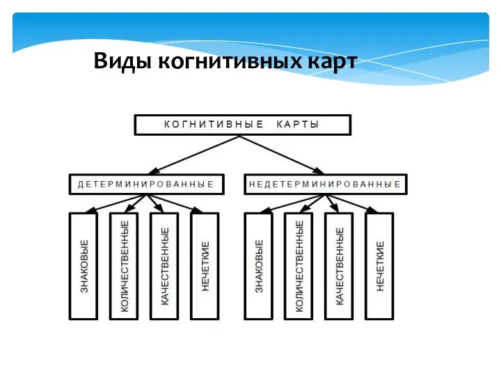 Виды когнитивных карт