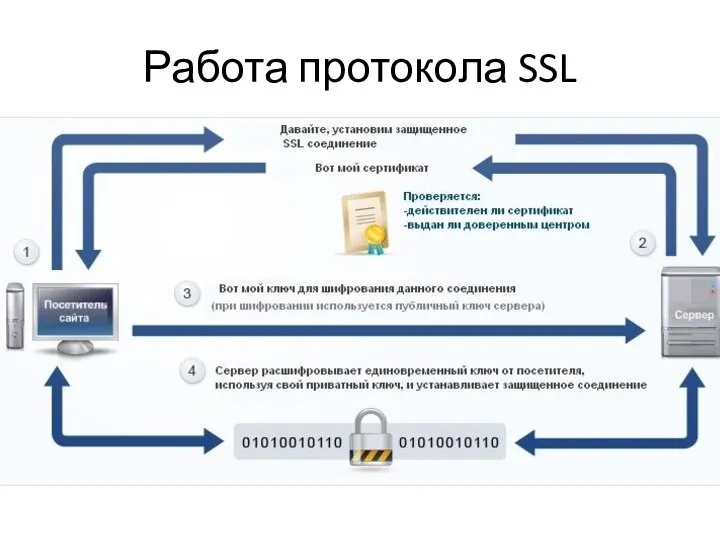 Работа протокола SSL