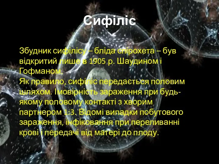 Сифіліс Збудник сифілісу – бліда спірохета – був відкритий лише в