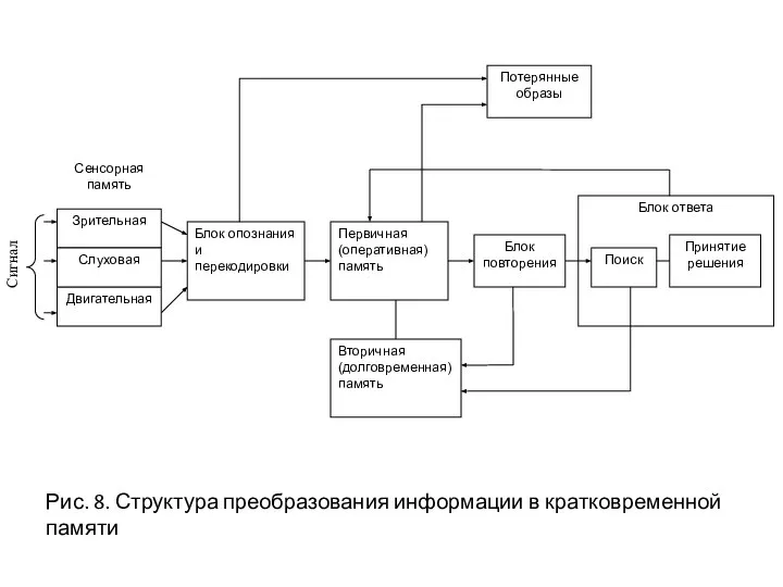 Сигнал Рис. 8. Структура преобразования информации в кратковременной памяти