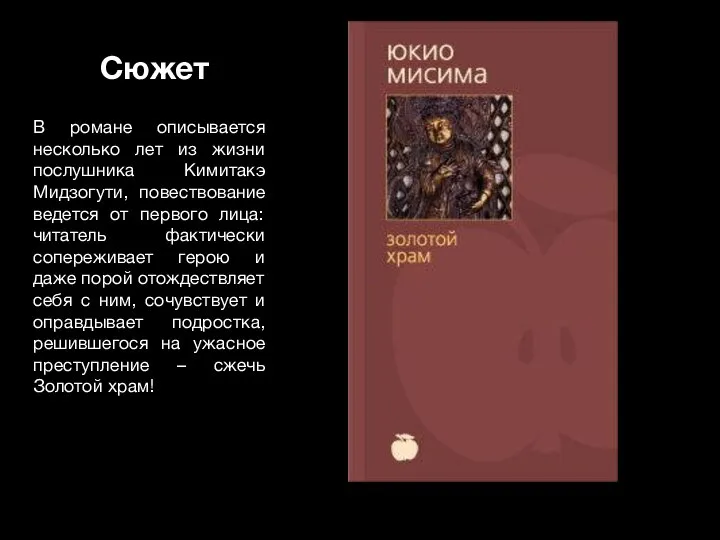 Сюжет В романе описывается несколько лет из жизни послушника Кимитакэ Мидзогути,