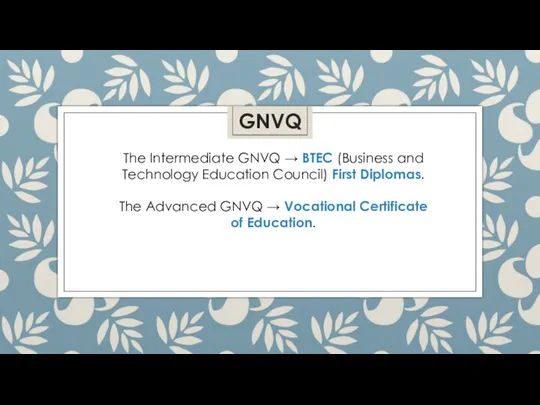 The Intermediate GNVQ → BTEC (Business and Technology Education Council) First