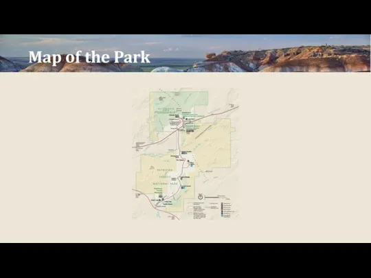 Map of the Park