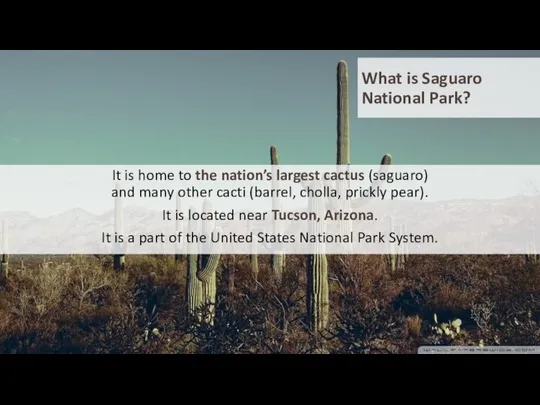 What is Saguaro National Park? It is home to the nation’s