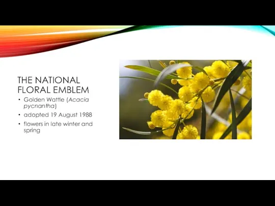 THE NATIONAL FLORAL EMBLEM Golden Wattle (Acacia pycnantha) adopted 19 August