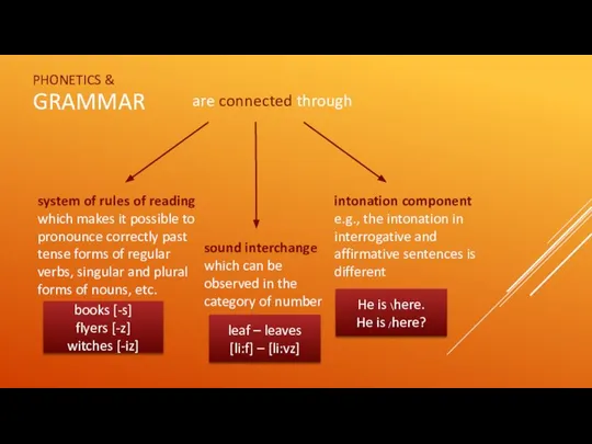 GRAMMAR PHONETICS & are connected through system of rules of reading