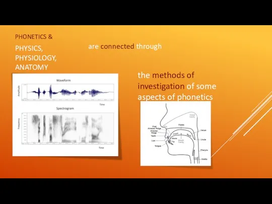 PHONETICS & PHYSICS, PHYSIOLOGY, ANATOMY are connected through the methods of