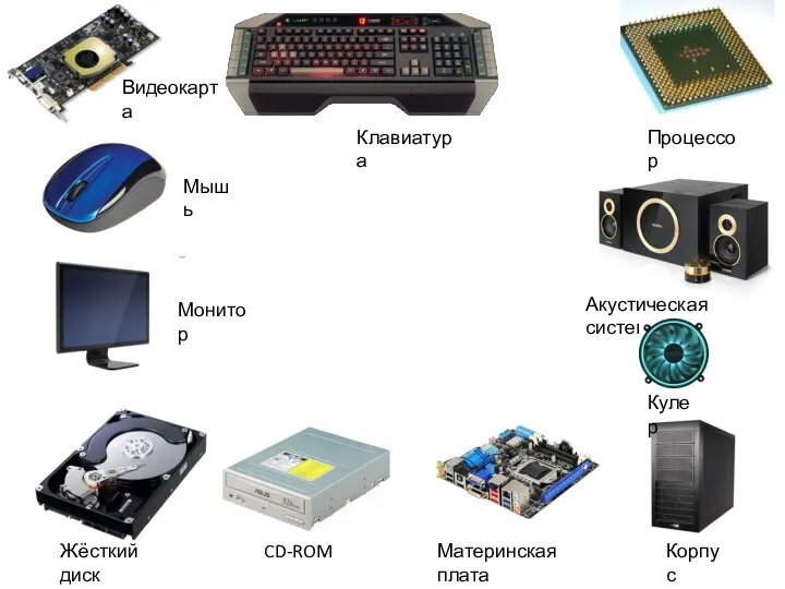 Клавиатура Мышь Монитор Видеокарта Процессор Акустическая система Кулер Корпус Жёсткий диск Материнская плата CD-ROM