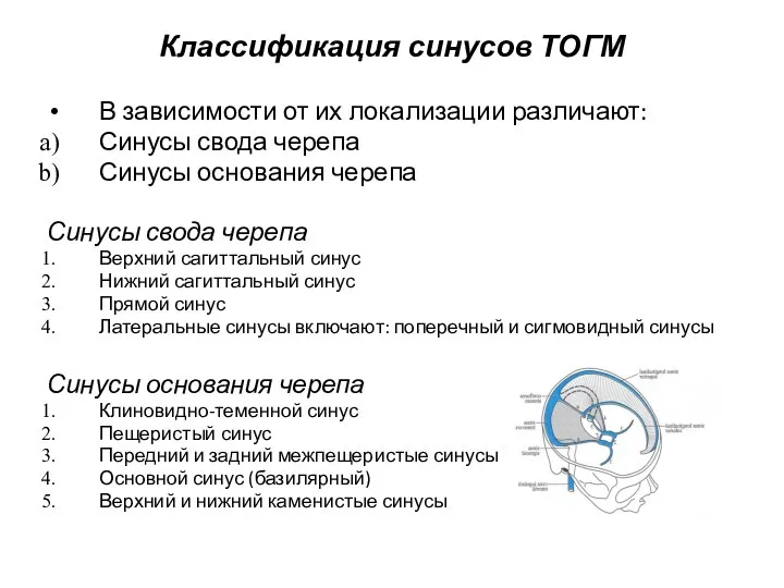 Классификация синусов ТОГМ В зависимости от их локализации различают: Синусы свода