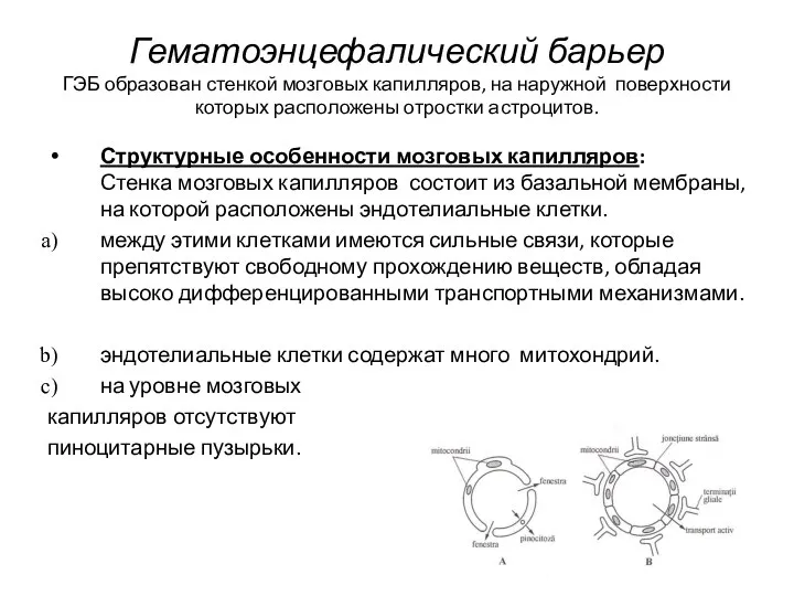 Гематоэнцефалический барьер ГЭБ образован стенкой мозговых капилляров, на наружной поверхности которых