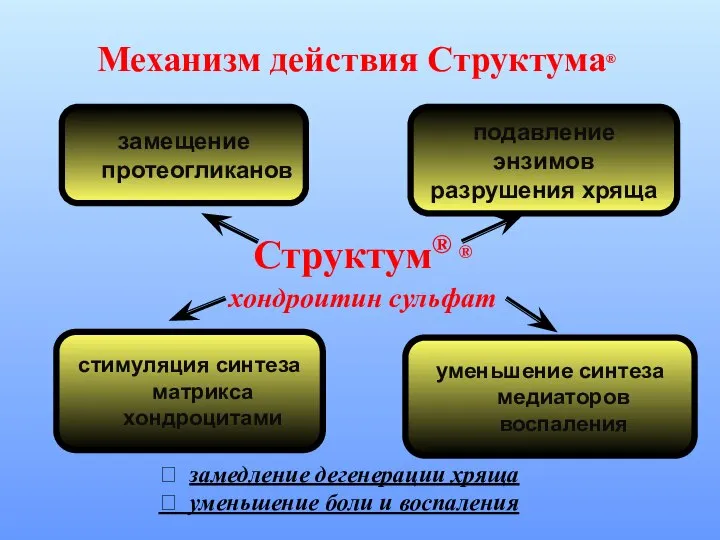 Механизм действия Структума® Структум® ® хондроитин сульфат замещение протеогликанов подавление энзимов