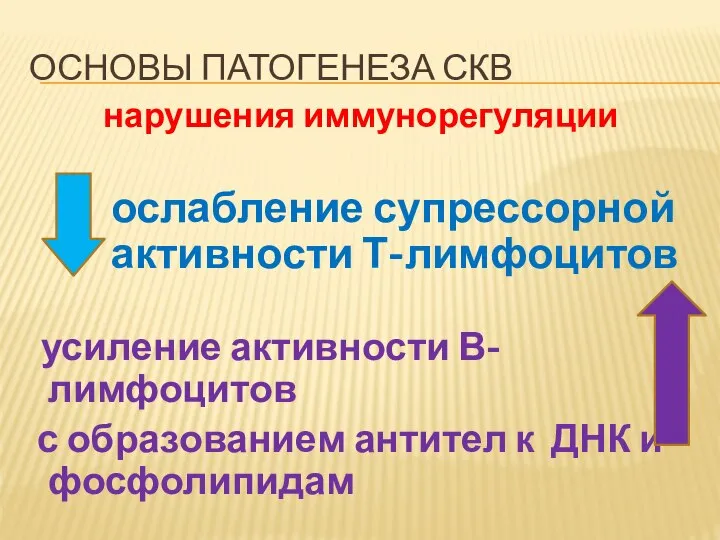 ОСНОВЫ ПАТОГЕНЕЗА СКВ нарушения иммунорегуляции ослабление супрессорной активности Т-лимфоцитов усиление активности