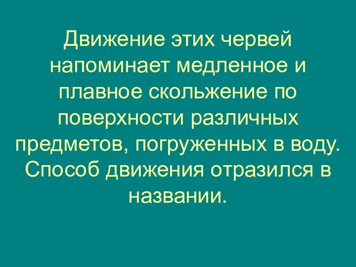 Движение этих червей напоминает медленное и плавное скольжение по поверхности различных