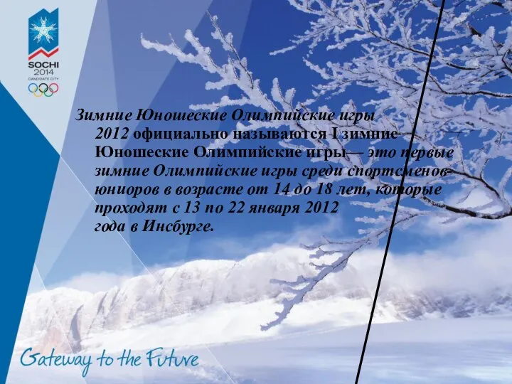 Зимние Юношеские Олимпийские игры 2012 официально называются I зимние Юношеские Олимпийские