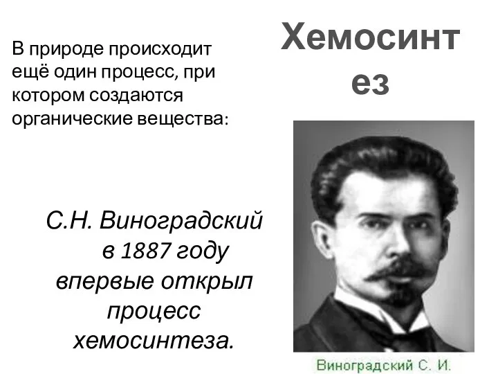 Хемосинтез С.Н. Виноградский в 1887 году впервые открыл процесс хемосинтеза. В