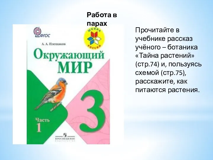 Прочитайте в учебнике рассказ учёного – ботаника «Тайна растений» (стр.74) и,