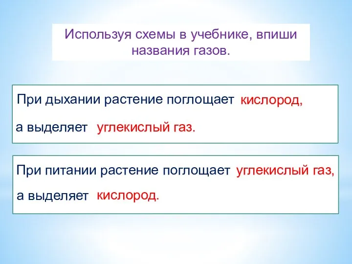 При дыхании растение поглощает а выделяет При питании растение поглощает а