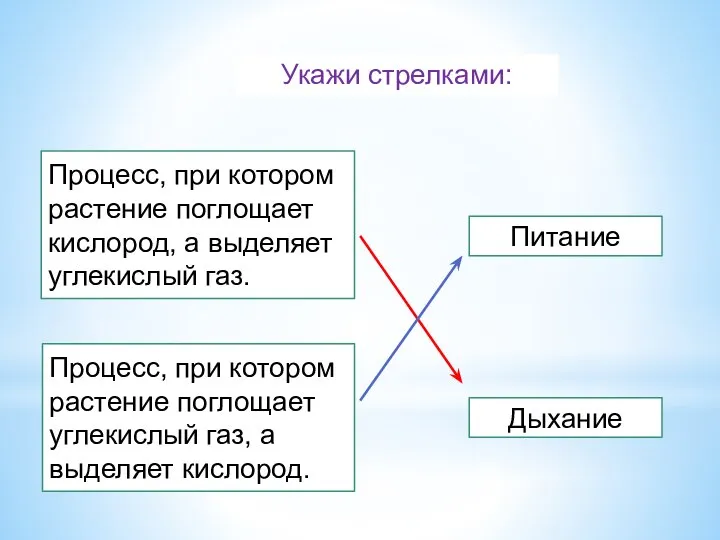 Укажи стрелками: Процесс, при котором растение поглощает кислород, а выделяет углекислый