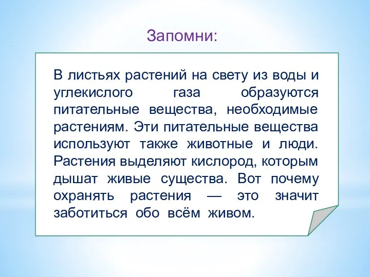 В листьях растений на свету из воды и углекислого газа образуются