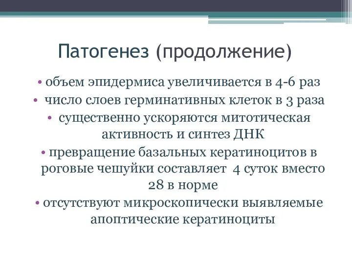 Патогенез (продолжение) объем эпидермиса увеличивается в 4-6 раз число слоев герминативных