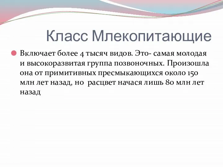 Класс Млекопитающие Включает более 4 тысяч видов. Это- самая молодая и