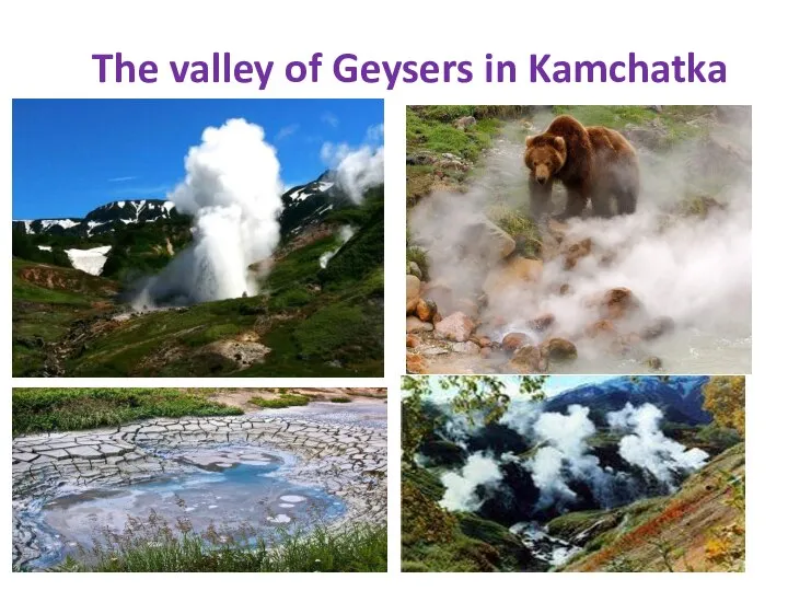 The valley of Geysers in Kamchatka