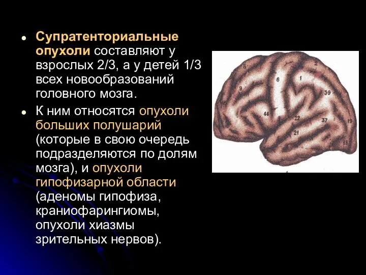 Супратенториальные опухоли составляют у взрослых 2/3, а у детей 1/3 всех