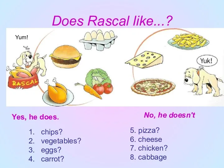 Does Rascal like...? Yes, Yes, he does. No, he doesn't Yum!